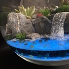 "Морской" флорариум шар 22 см